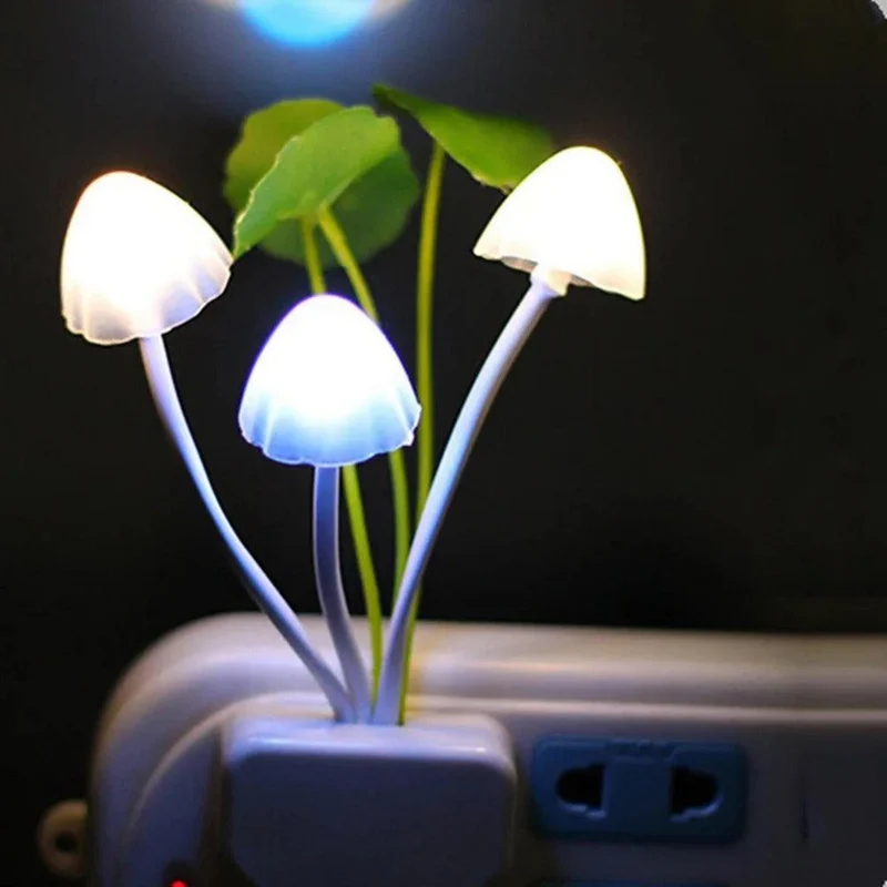 Nachtlicht Steckdose Pilz – Niedliche LED Schlummerleuchte für Kinder
