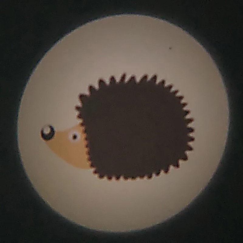 Taschen-Projektor Waldtiere, 6 fach