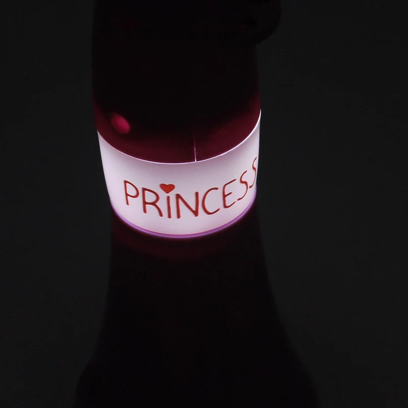 Taschen-Projektor Prinzessin, 6 fach