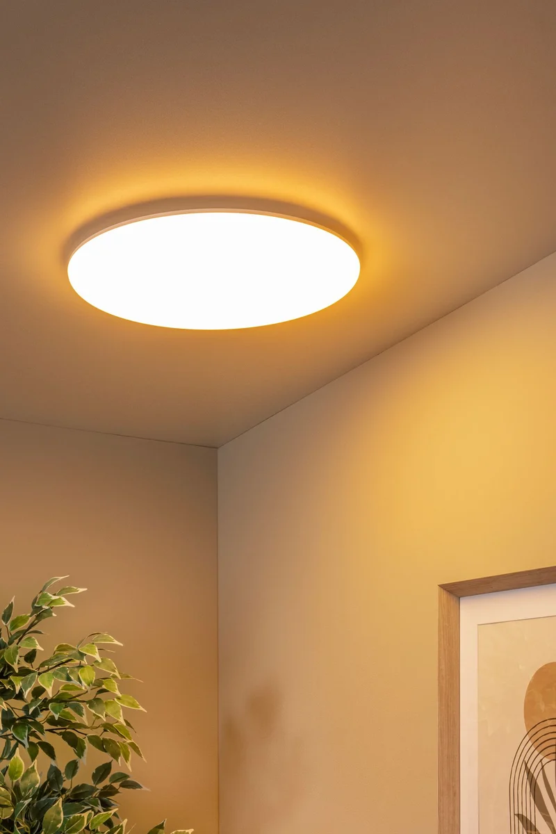 LED-Bad-Deckenleuchte Olson IP44 CCT Ø45cm