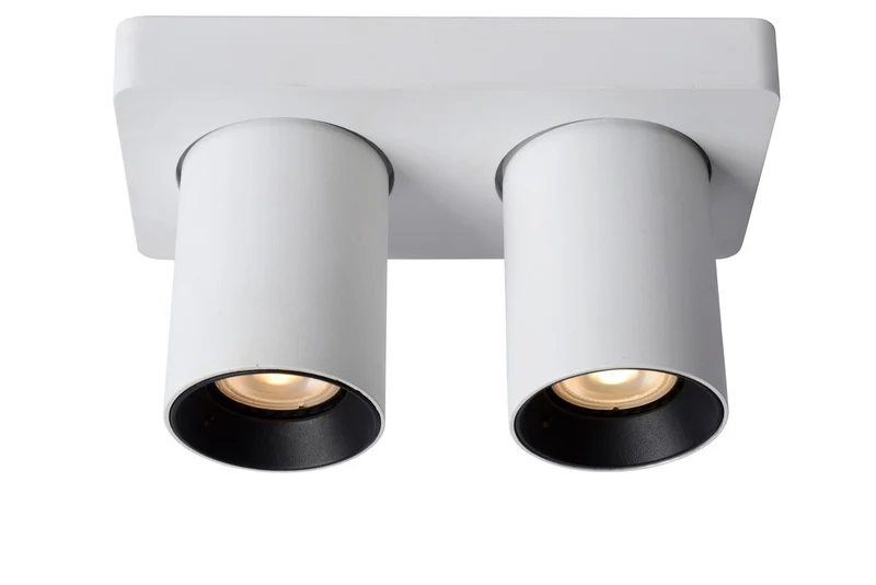 LED-Deckenstrahler Nigel 2-flammig dimmbar