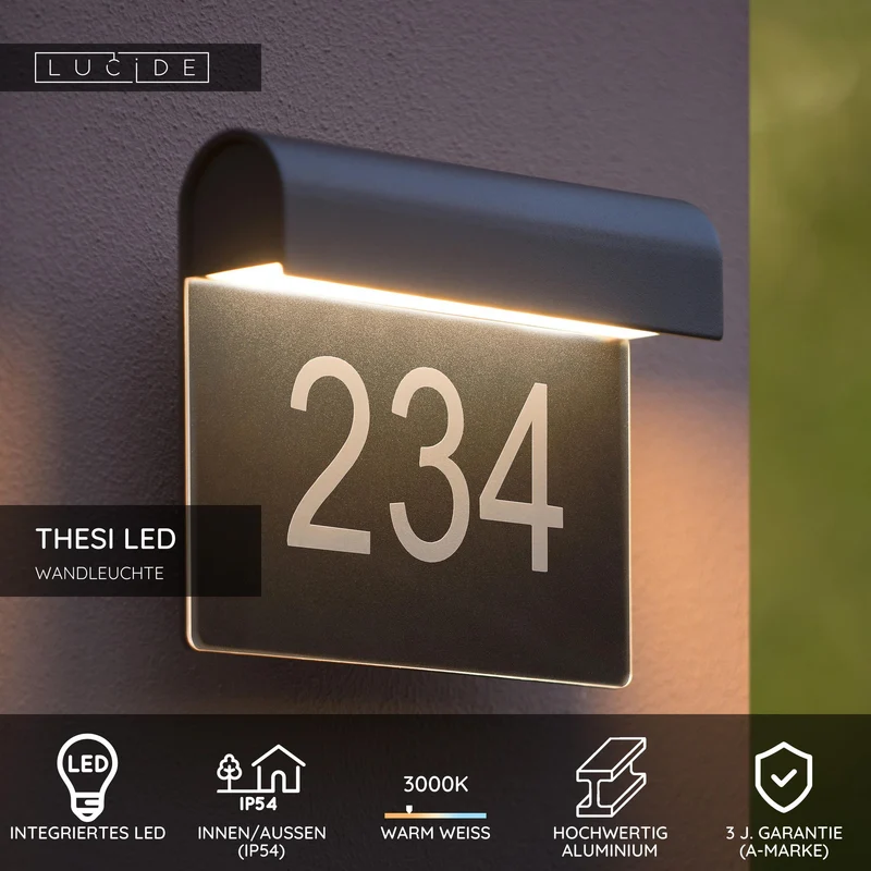 LED-Außenwandleuchte Thesi 3000K IP54 Schwarz