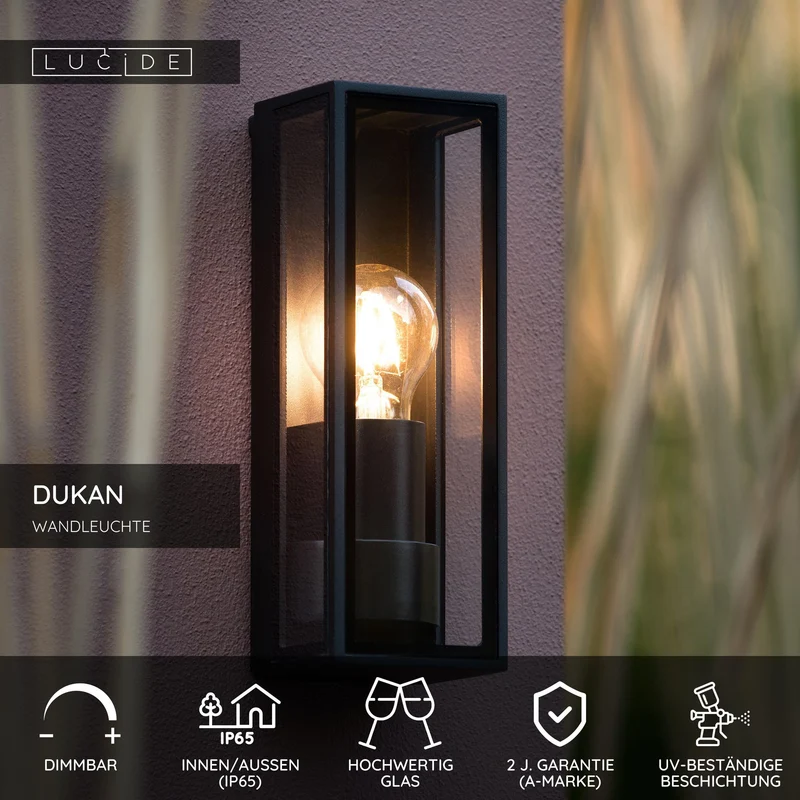 Außenwandleuchte Dukan IP65 Schwarz mit Glasschirm