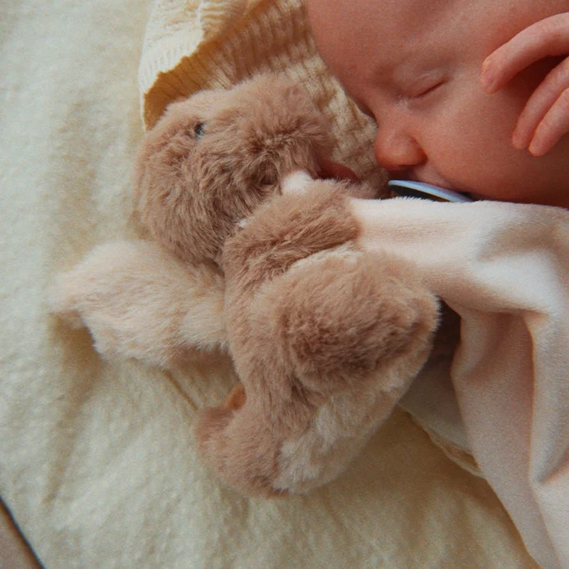 Sleepy Animals Schnuffeltuch mit Drache