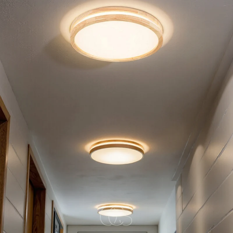 Euroselle Simple Modern LED Ceiling Lamp For Living Rooms And More