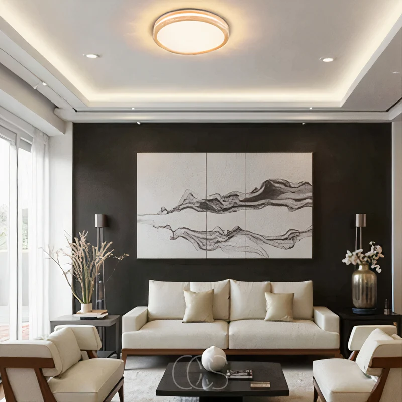 Euroselle Simple Modern LED Ceiling Lamp For Living Rooms And More