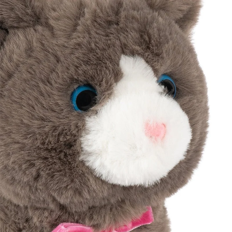 Laufende Katze in Grey