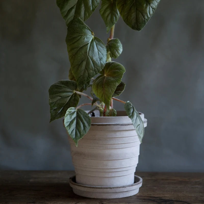 Blumentopf Planet 21 cm - Bergs Potter