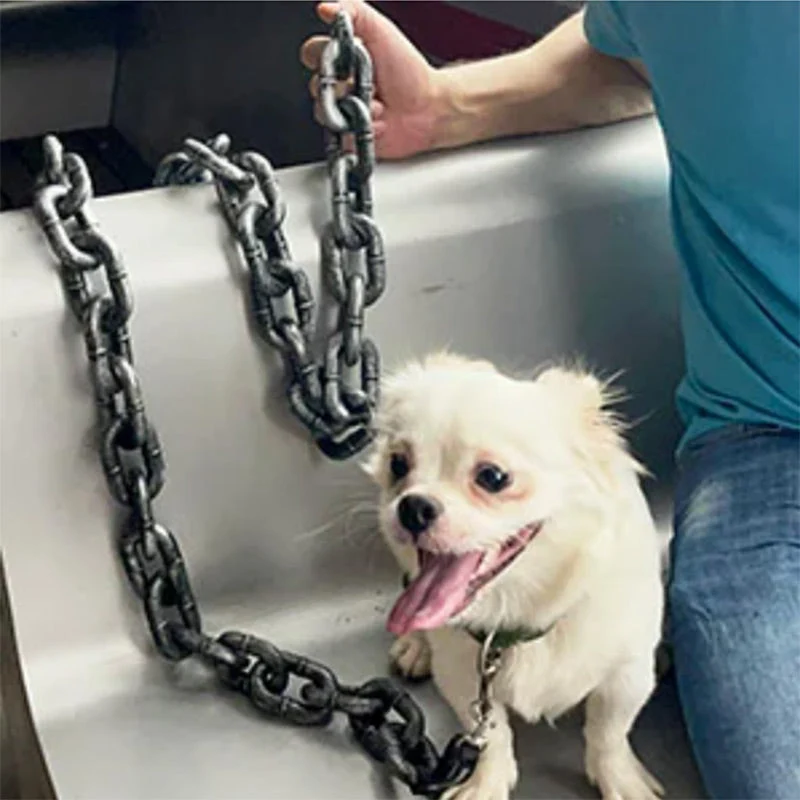 Euroselle Adjustable Dog Collar With Durable Metal Chain Design