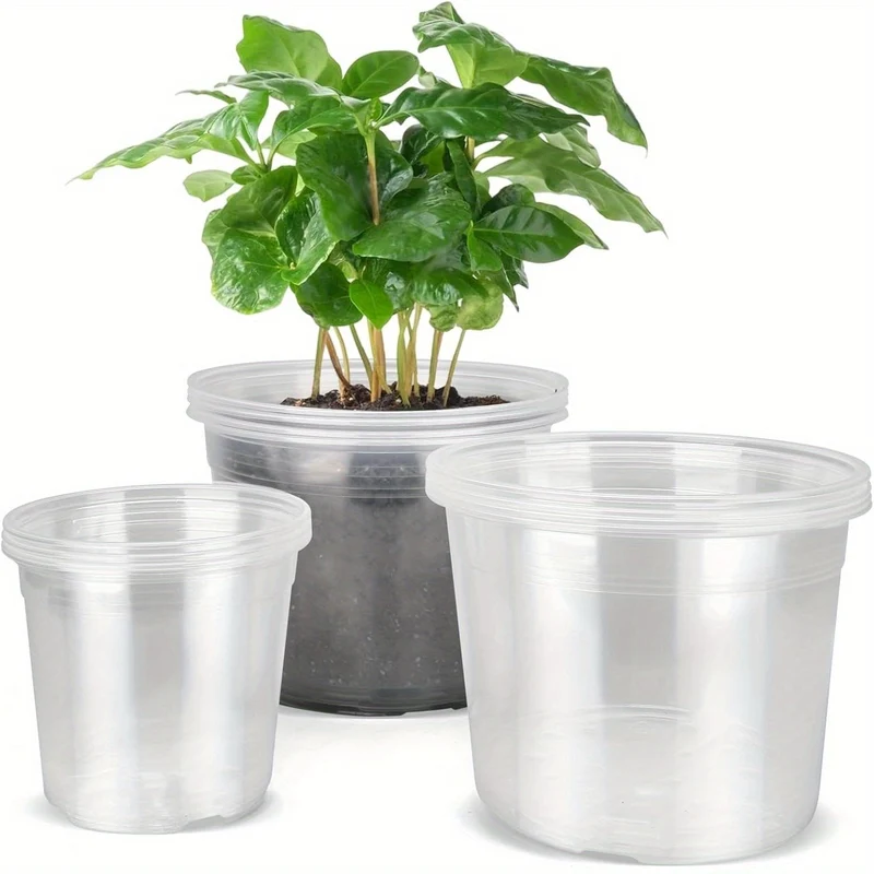 Euroselle Clear Seedling Pots For Easy Root Monitoring