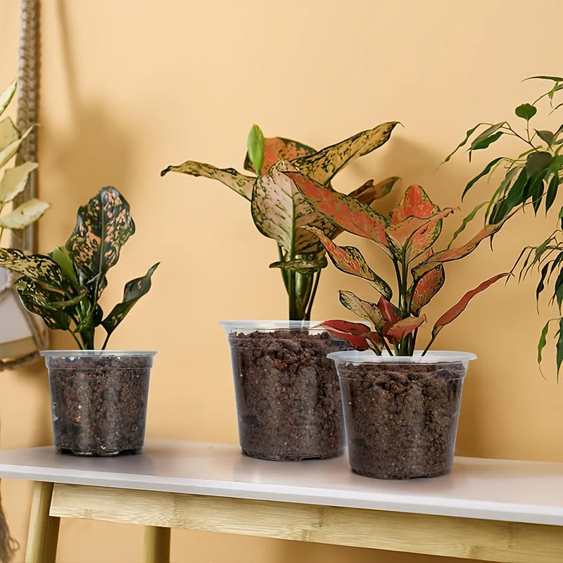 Euroselle Clear Seedling Pots For Easy Root Monitoring