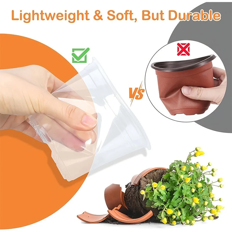 Euroselle Clear Seedling Pots For Easy Root Monitoring