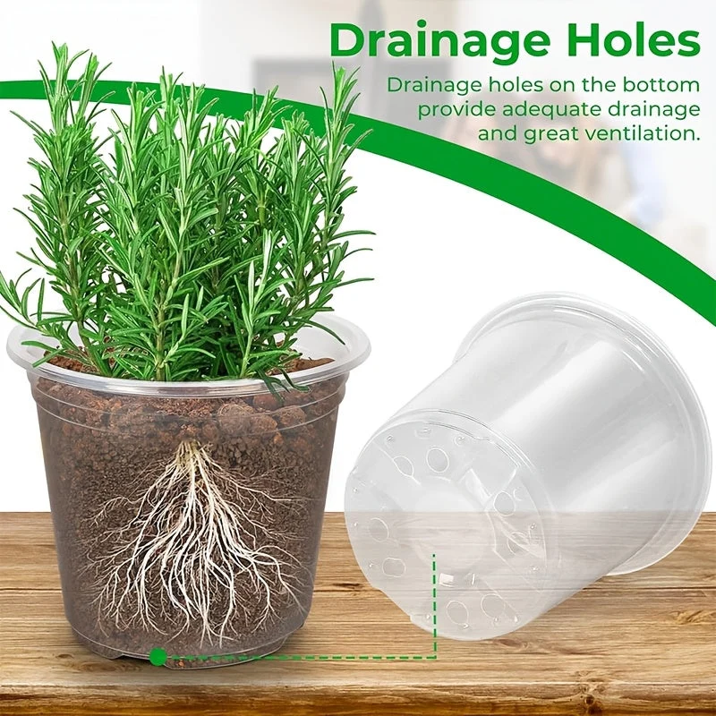 Euroselle Clear Seedling Pots For Easy Root Monitoring