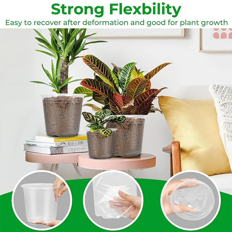 Euroselle Clear Seedling Pots For Easy Root Monitoring