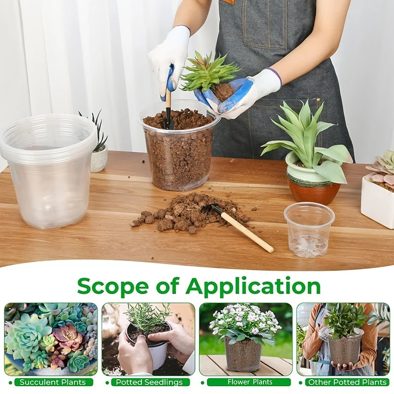 Euroselle Clear Seedling Pots For Easy Root Monitoring