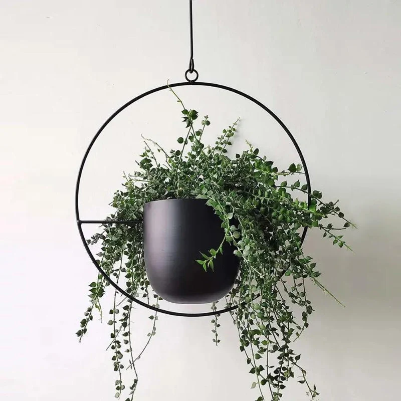 Euroselle Minimal Wall Planter Hanger For Modern Interior Style