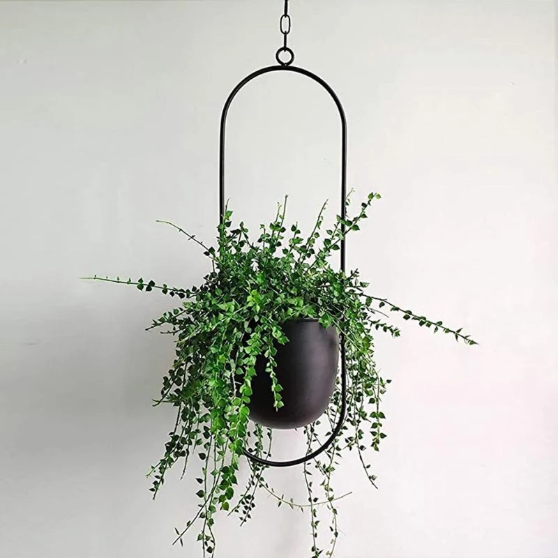 Euroselle Minimal Wall Planter Hanger For Modern Interior Style
