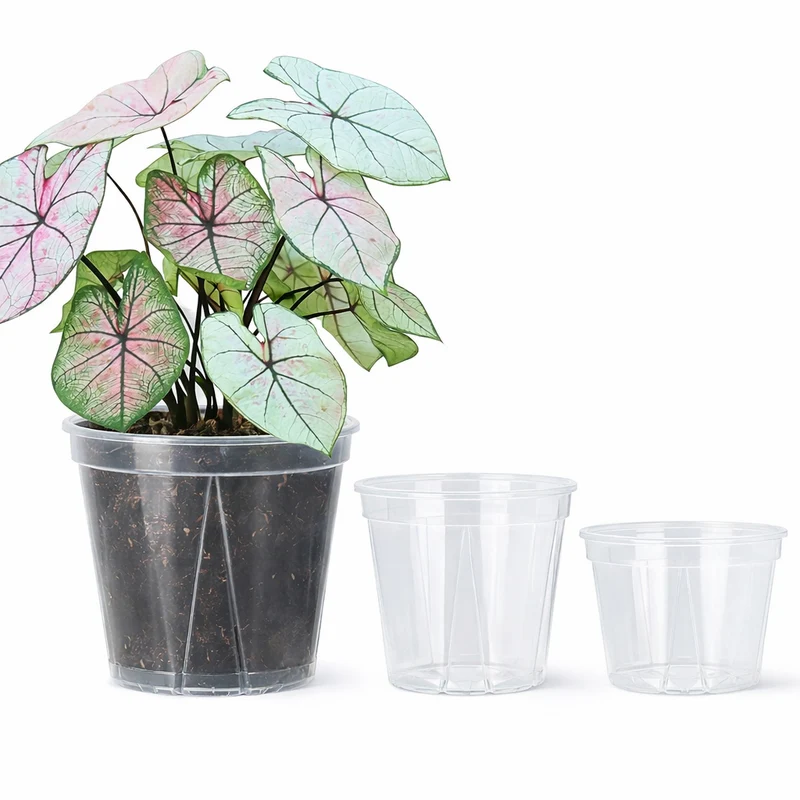 Euroselle Clear Pots With Built In Drainage Holes For Healthy Growth