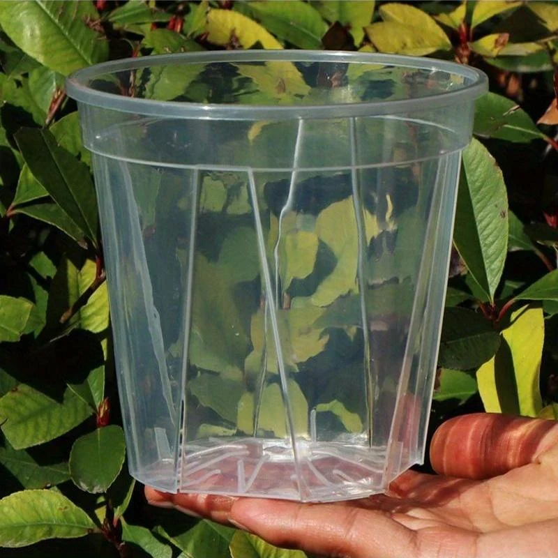Euroselle Clear Pots With Built In Drainage Holes For Healthy Growth