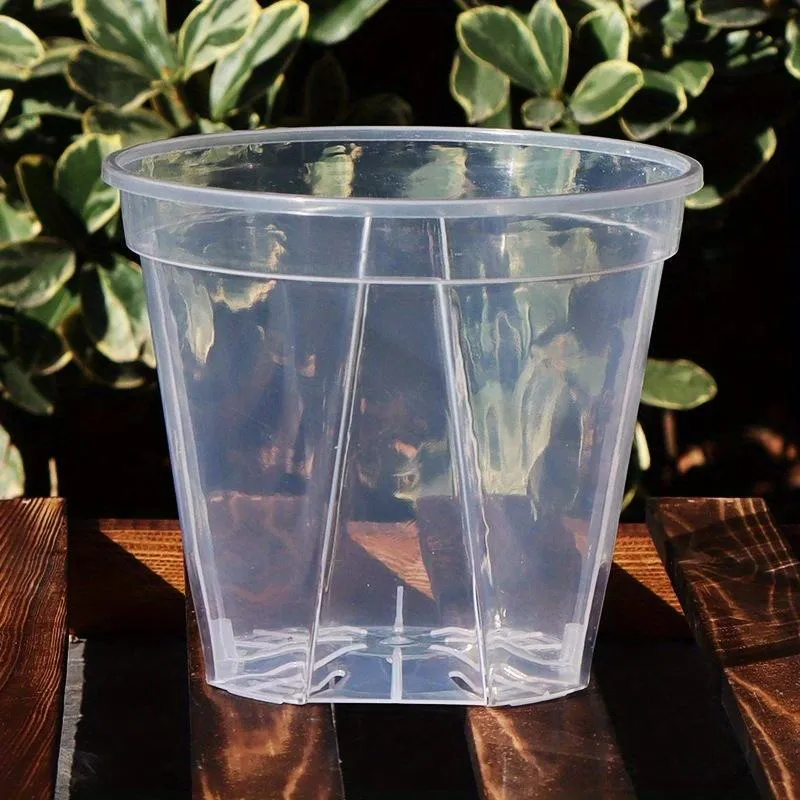 Euroselle Clear Pots With Built In Drainage Holes For Healthy Growth