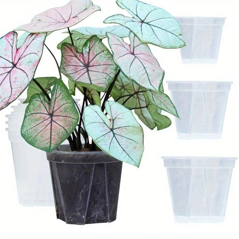 Euroselle Clear Pots With Built In Drainage Holes For Healthy Growth