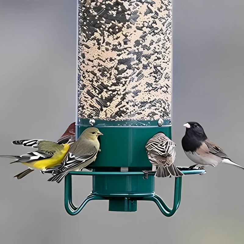 Euroselle Squirrel-Resistant Bird Feeder for Easy Backyard Birdwatching