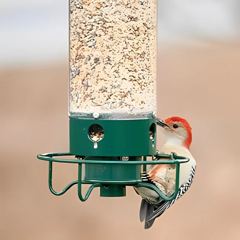 Euroselle Squirrel-Resistant Bird Feeder for Easy Backyard Birdwatching
