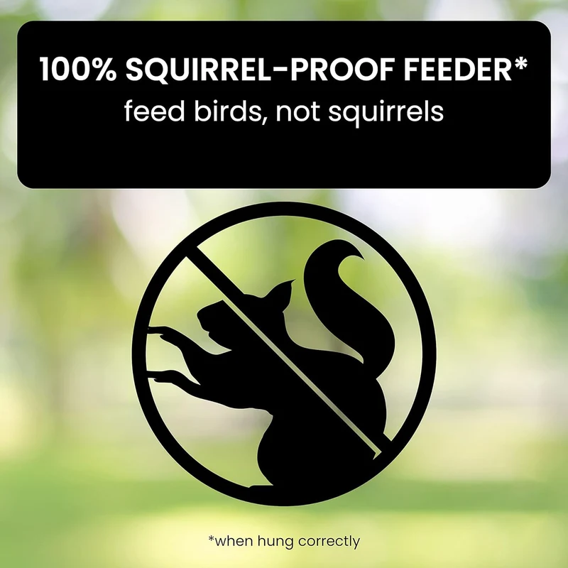 Euroselle Squirrel-Resistant Bird Feeder for Easy Backyard Birdwatching