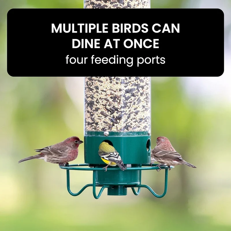 Euroselle Squirrel-Resistant Bird Feeder for Easy Backyard Birdwatching