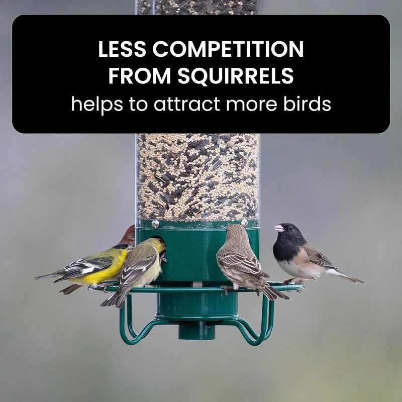 Euroselle Squirrel-Resistant Bird Feeder for Easy Backyard Birdwatching