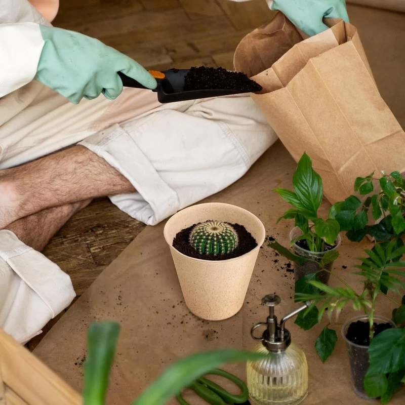 Euroselle Biodegradable Seed Starter Pots For Simple Transplanting