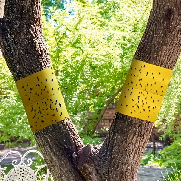 Euroselle Sticky Outdoor Insect Barrier Tape Euroselle
