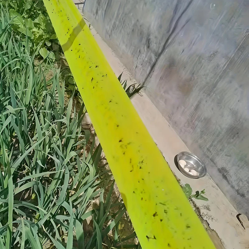 Euroselle Sticky Outdoor Insect Barrier Tape Euroselle