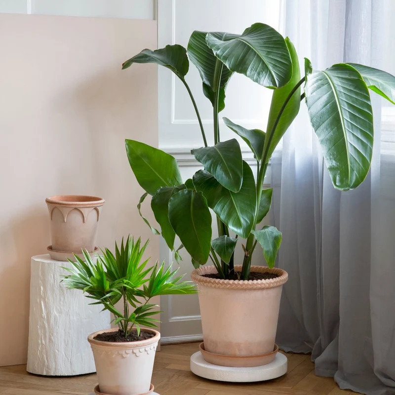 Blumentopf Emilia Grau - Bergs Potter