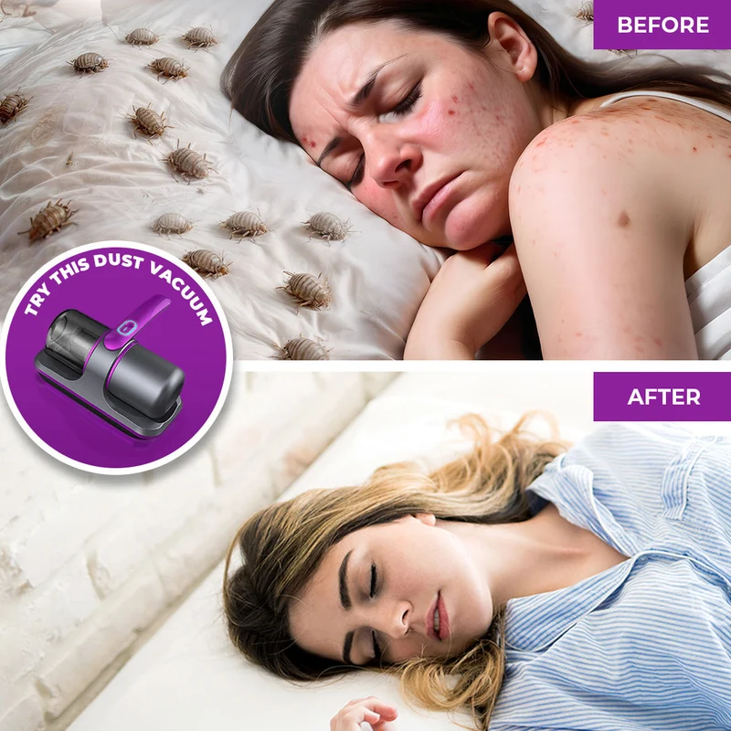 Cordless Dust Vacuum And Iron For A Healthier Home Euroselle