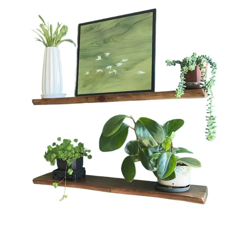 Euroselle Handcrafted Floating Wood Shelf Accent For Walls