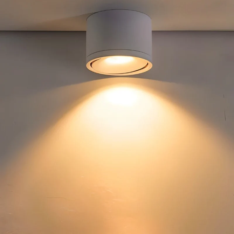 Euroselle Aluminum LED Ceiling Light With 30° Adjustable Tilt, 7W-12W
