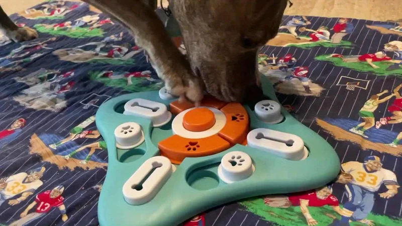 Euroselle Interactive IQ Puzzle Slow Feeder For Dogs