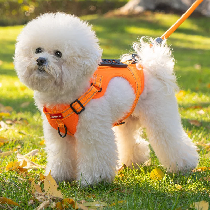 Euroselle Soft Padded No Pull Harness With Top Handle For Safety
