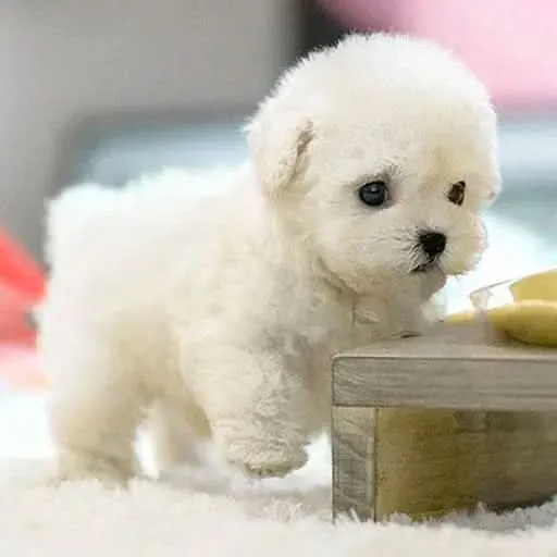 Euroselle Interactive Realistic Plush Dog Toy With Touch Response, Soft Cuddly Design, And Sounds