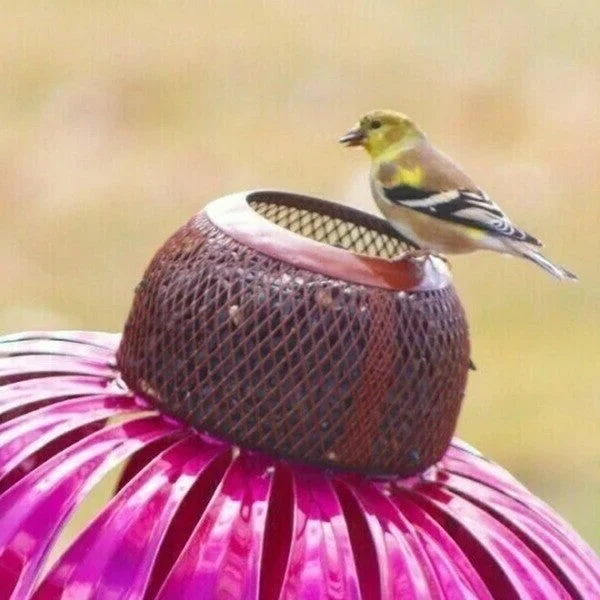 Euroselle Coneflower Metal Bird Feeder Durable Weatherproof Design