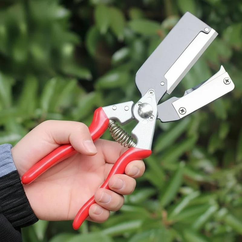 Euroselle Grafting Scissors for Precise Tree Maintenance and Seamless Pruning