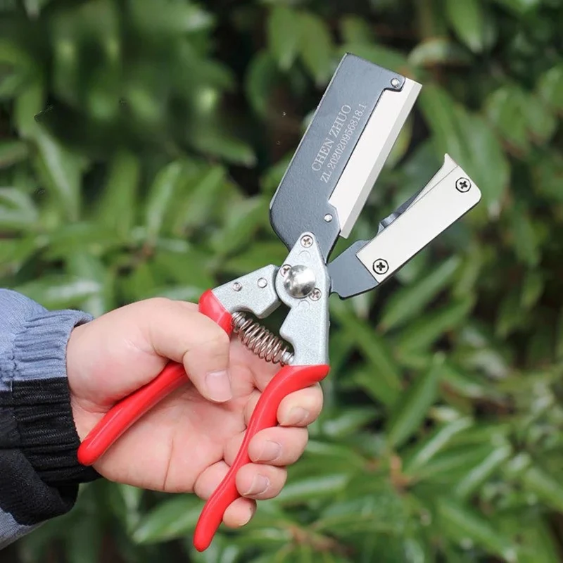 Euroselle Grafting Scissors for Precise Tree Maintenance and Seamless Pruning