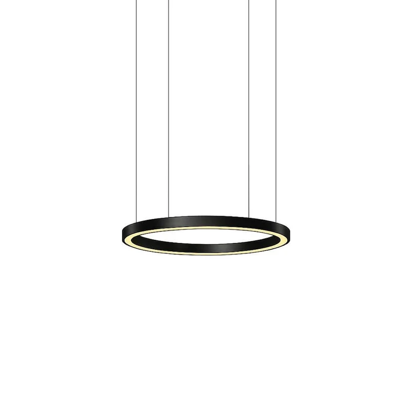 Pro Light LED Ring Pendelleuchte mit integrierter Pflanzenwanne - Sonderbau nach Maß
