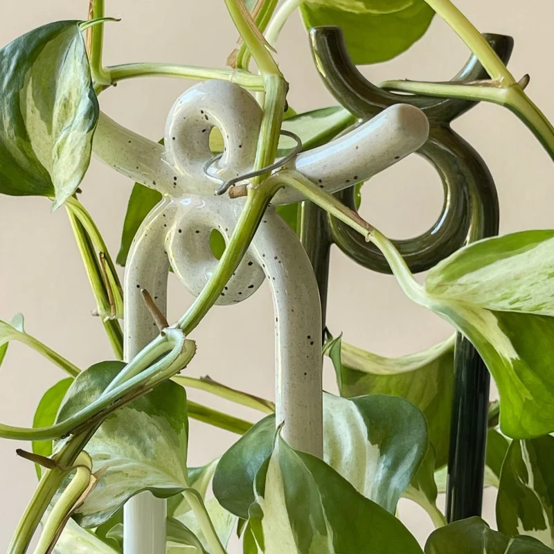 Pflanzstab Folk zum anbinden von Pflanzen - Bergs Potter
