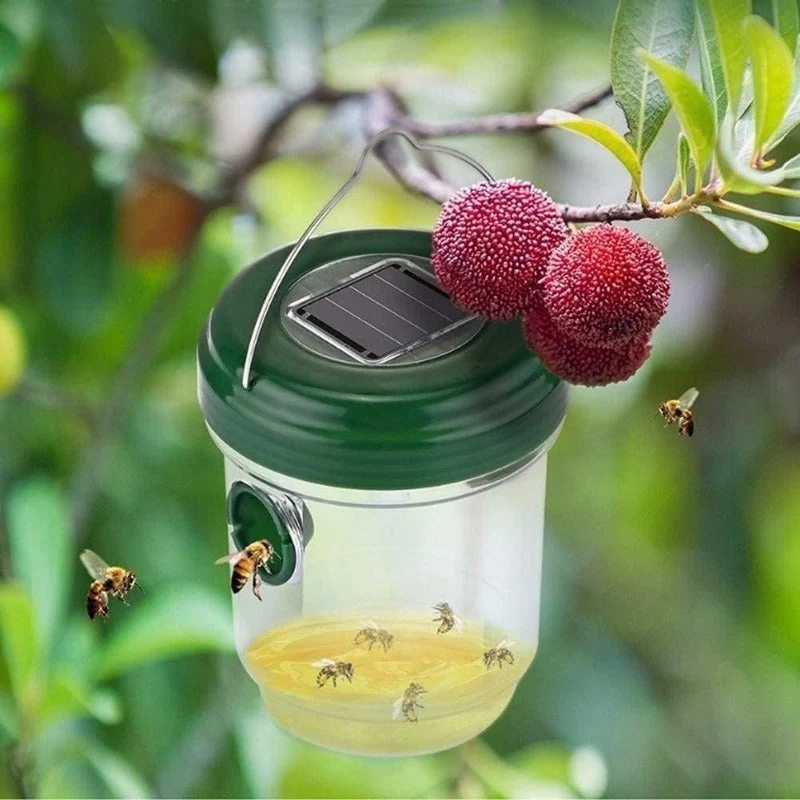 Euroselle Solar Powered Outdoor Wasp And Hornet Trap Set With Integrated Solar Light