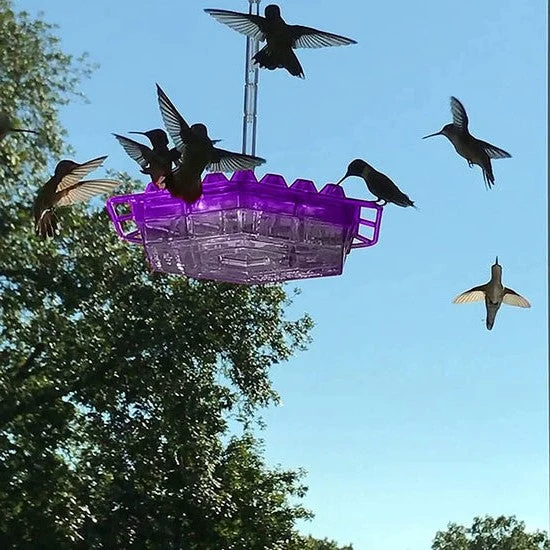 Euroselle Ant-Proof Hummingbird Feeder With 30 Easy-Access Ports