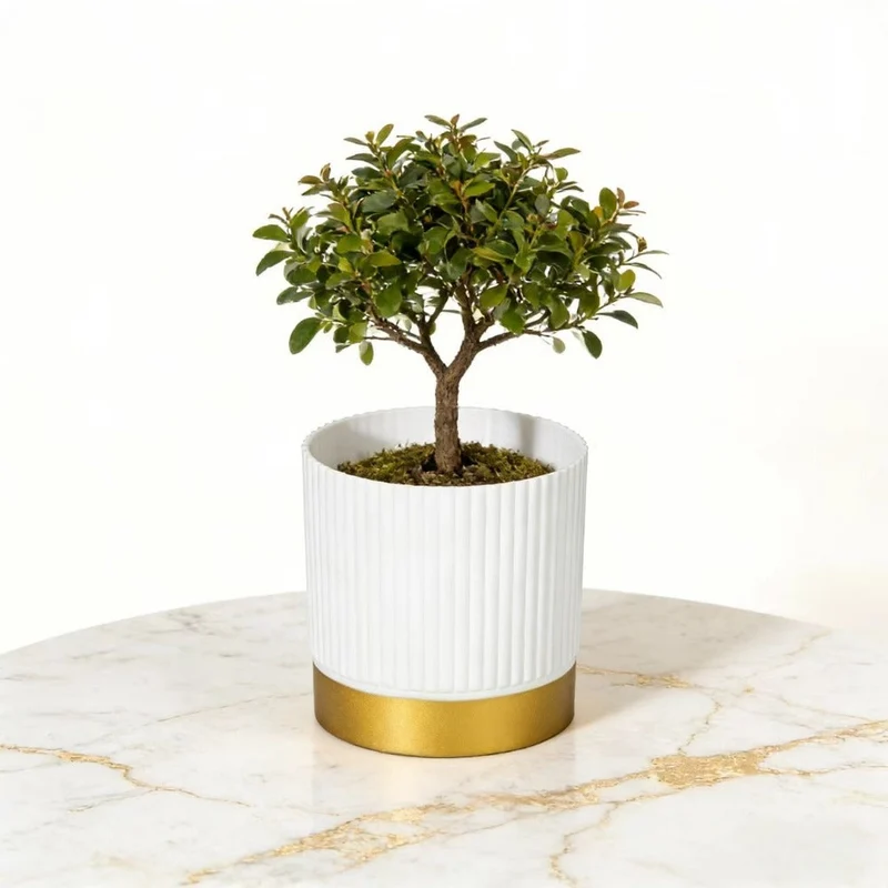 Euroselle Striped Planter For Elegant Indoor Plant Display