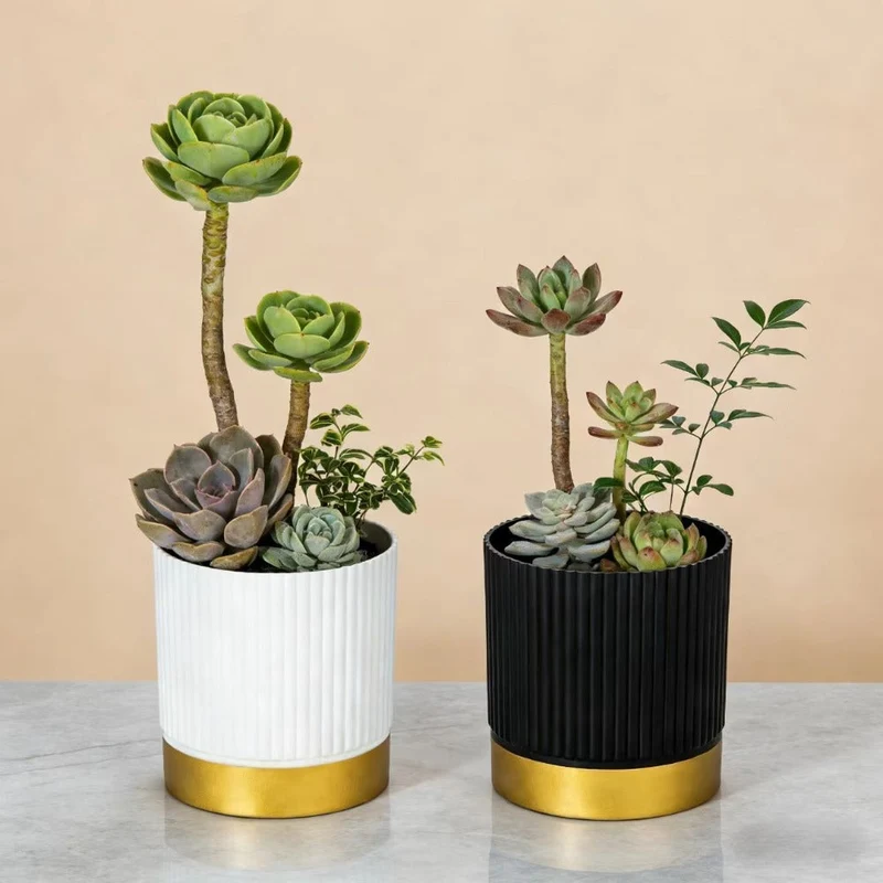 Euroselle Striped Planter For Elegant Indoor Plant Display