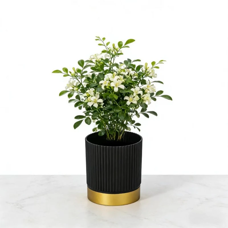 Euroselle Striped Planter For Elegant Indoor Plant Display